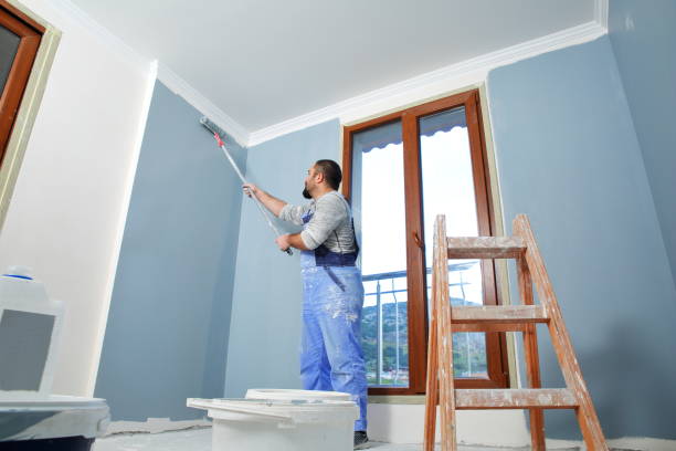 Professional Mold Removal in Darien, WI
