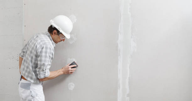Best Mold Removal for HVAC Installations  in Darien, WI