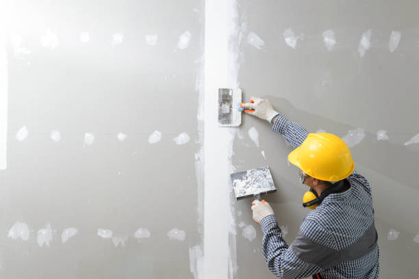 Mold Documentation for Insurance Claims in Darien, WI