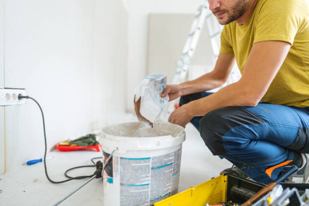 Best Basement Mold Removal  in Darien, WI
