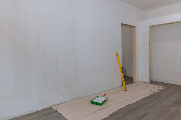 Best Mold Prevention Services  in Darien, WI