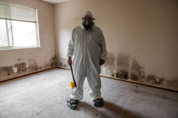 Best Post-Remediation Verification Testing  in Darien, WI