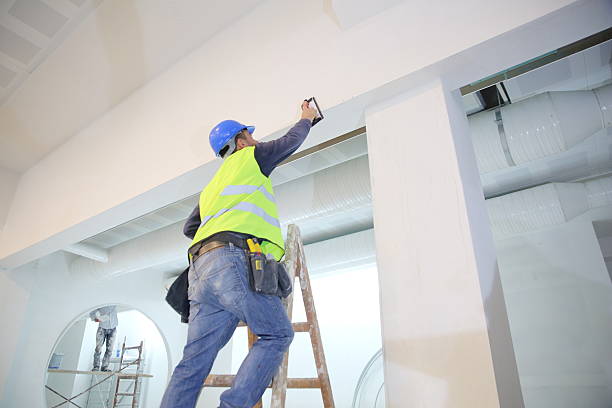Best Air Quality Testing for Mold Spores  in Darien, WI