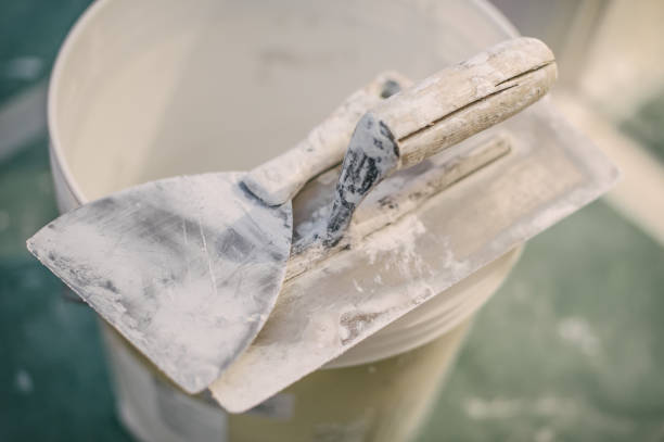 Best Attic Mold Removal  in Darien, WI